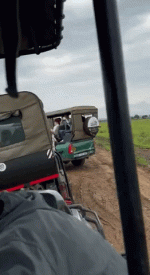 tghotel1104.gif tghotel1104.gif