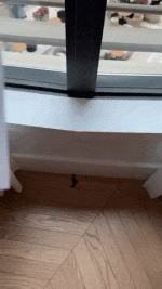 tghotel2606.gif tghotel2606.gif