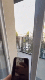 tghotel.gif tghotel.gif
