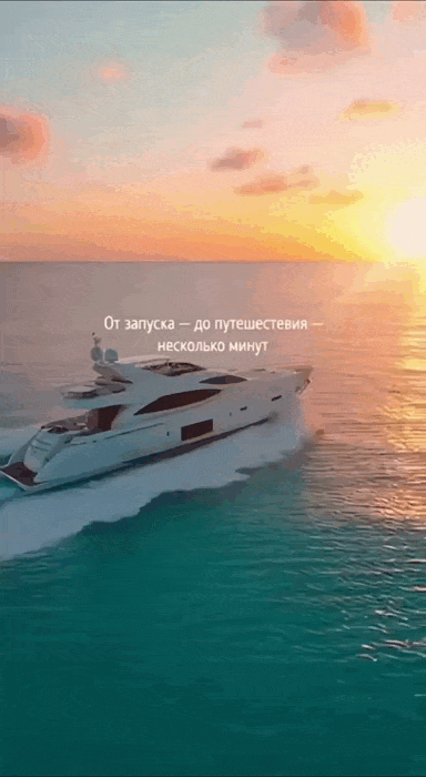 vid.gif